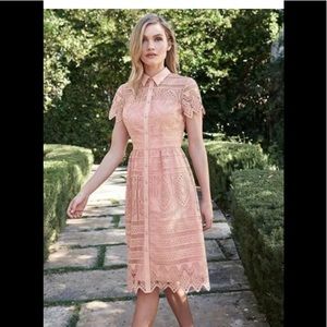 Antonio Melani Michelle Lace Dress size 6